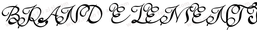 BRAND ELEMENTS - BRA字体转换